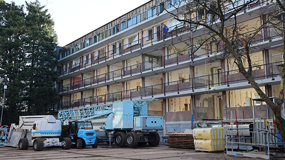 Wiltonflats <br/> Schiedam